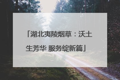 湖北夷陵烟草：沃土生芳华 服务绽新篇