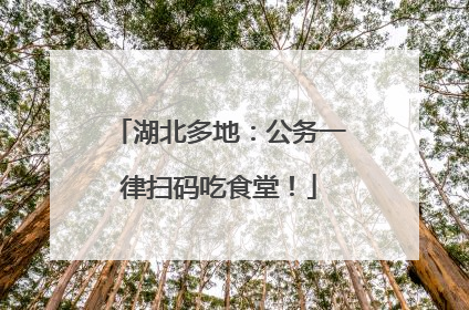湖北多地：公务一律扫码吃食堂！