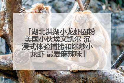 湖北洪湖小龙虾圈粉美国小伙埃文凯尔 沉浸式体验捕捞和爆炒小龙虾 最爱麻辣味