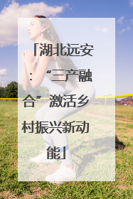 湖北远安：“三产融合”激活乡村振兴新动能