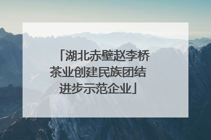 湖北赤壁赵李桥茶业创建民族团结进步示范企业