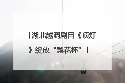 湖北越调剧目《顶灯》绽放“梨花杯”