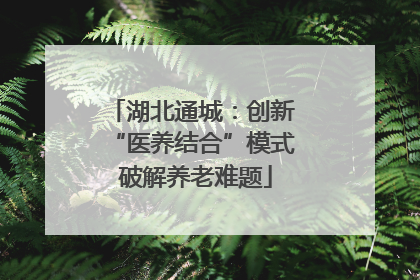 湖北通城：创新 “医养结合”模式 破解养老难题