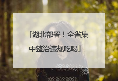 湖北部署！全省集中整治违规吃喝