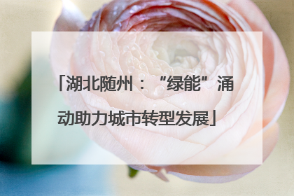 湖北随州：“绿能”涌动助力城市转型发展
