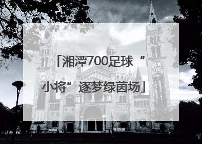 湘潭700足球“小将”逐梦绿茵场