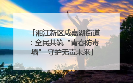 湘江新区咸嘉湖街道：全民共筑“青春防毒墙” 守护无毒未来