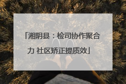 湘阴县：检司协作聚合力 社区矫正提质效