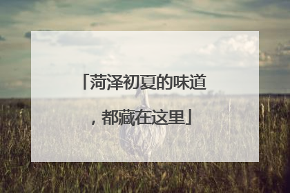 菏泽初夏的味道，都藏在这里