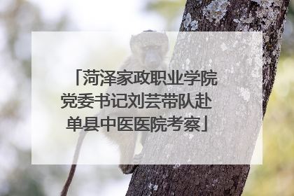 菏泽家政职业学院党委书记刘芸带队赴单县中医医院考察