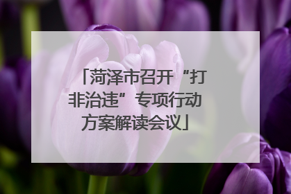 菏泽市召开“打非治违”专项行动方案解读会议