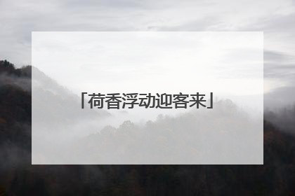 荷香浮动迎客来