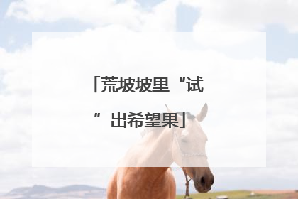 荒坡坡里“试”出希望果
