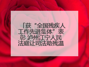 获“全国残疾人工作先进集体”表彰 泸州江宁人民法庭让司法助残温暖有力