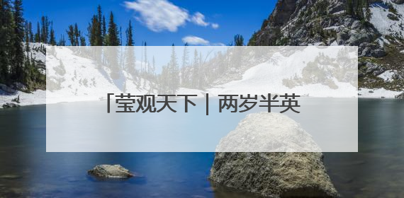 莹观天下｜两岁半英国男孩成了年纪最小的门萨俱乐部成员
