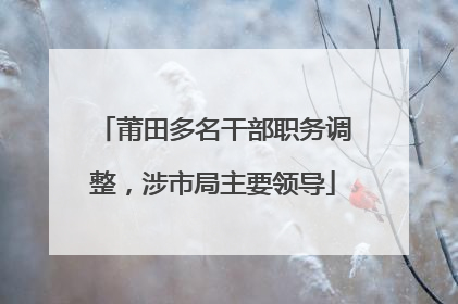 莆田多名干部职务调整，涉市局主要领导