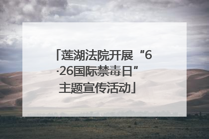 莲湖法院开展“6·26国际禁毒日”主题宣传活动