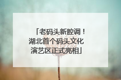 老码头新腔调！湖北首个码头文化演艺区正式亮相