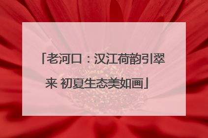 老河口：汉江荷韵引翠来 初夏生态美如画