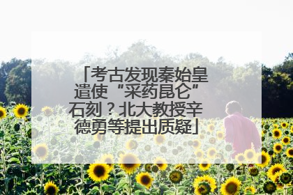 考古发现秦始皇遣使“采药昆仑”石刻？北大教授辛德勇等提出质疑