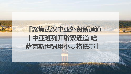 聚焦武汉中亚外贸新通道│中亚班列开辟双通道 哈萨克斯坦饲用小麦将抵鄂