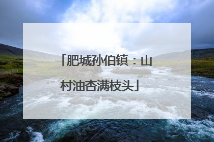 肥城孙伯镇：山村油杏满枝头