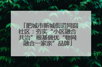 肥城市新城街道同圆社区：夯实“小区融合共治”根基做优“物网融合一家亲”品牌