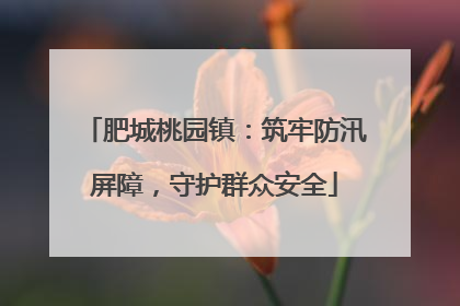 肥城桃园镇：筑牢防汛屏障，守护群众安全