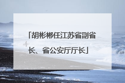胡彬郴任江苏省副省长、省公安厅厅长