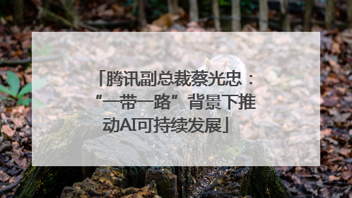 腾讯副总裁蔡光忠：“一带一路”背景下推动AI可持续发展