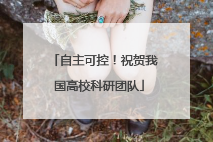 自主可控！祝贺我国高校科研团队