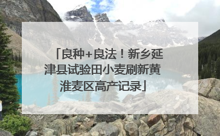 良种+良法！新乡延津县试验田小麦刷新黄淮麦区高产记录