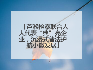 芦淞检察联合人大代表“典”亮企业，沉浸式普法护航小微发展