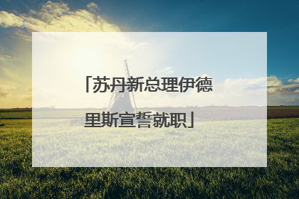 苏丹新总理伊德里斯宣誓就职
