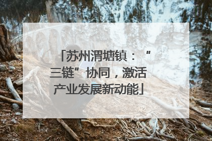 苏州渭塘镇：“三链”协同，激活产业发展新动能