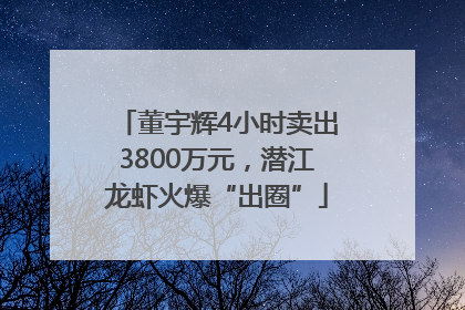 董宇辉4小时卖出3800万元，潜江龙虾火爆“出圈”