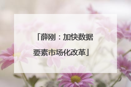 薛刚：加快数据要素市场化改革