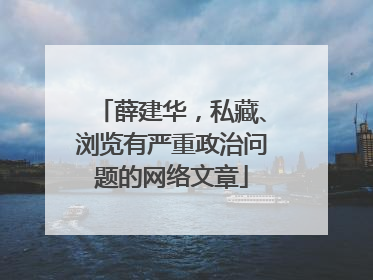 薛建华，私藏、浏览有严重政治问题的网络文章
