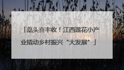 藠头喜丰收！江西莲花小产业撬动乡村振兴“大发展”