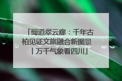 蜀道翠云廊：千年古柏见证文旅融合新图景丨万千气象看四川