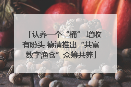 认养一个“桶” 增收有盼头 德清推出“共富数字渔仓”众筹共养