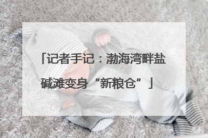 记者手记：渤海湾畔盐碱滩变身“新粮仓”