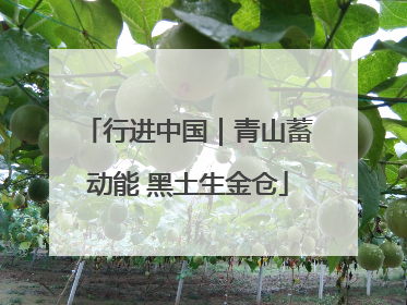 行进中国｜青山蓄动能 黑土生金仓