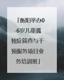 衡阳举办0-6岁儿童孤独症筛查与干预服务项目业务培训班