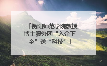 衡阳师范学院教授博士服务团“入企下乡”送“科技”