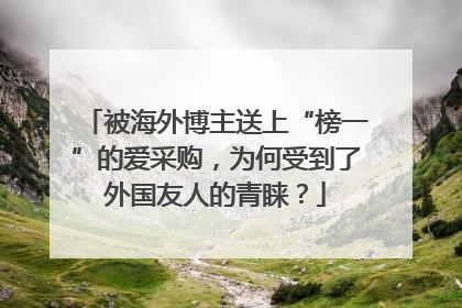 被海外博主送上“榜一”的爱采购，为何受到了外国友人的青睐？