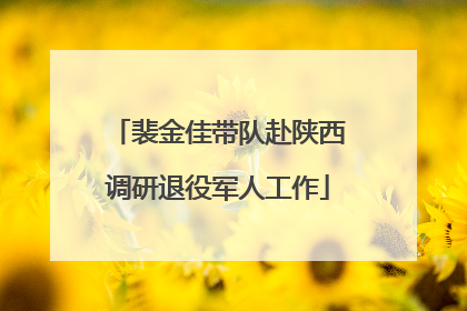 裴金佳带队赴陕西调研退役军人工作