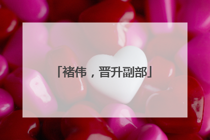 褚伟，晋升副部
