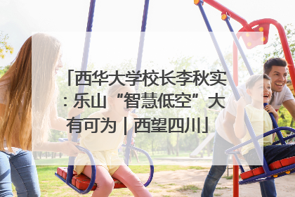 西华大学校长李秋实：乐山“智慧低空”大有可为｜西望四川