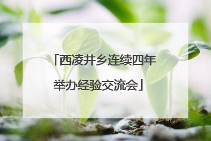 西凌井乡连续四年举办经验交流会